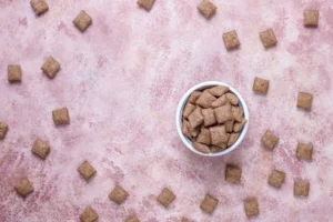Meilleures friandises pour chat (2026) : Sélection saine et gourmande