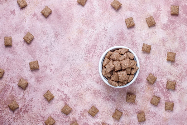 Meilleures friandises pour chat (2025) | Sélection gourmande & comparatif