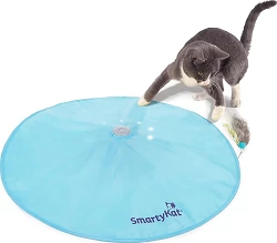 SmartyKat Hot Pursuit