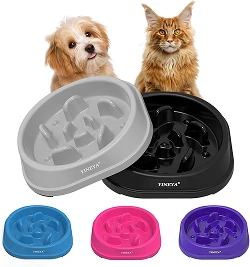 Lot de 2 gamelles anti-glouton compactes pour chat et chaton